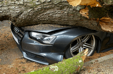 Ccidente y Choca Contra un Arbol Guia de un Abogado de Lesiones Personales en Tucson